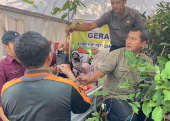 Pemkab Bogor Bagikan Pohon Buah Gratis di Cileungsi, Dorong Penghijauan dan Ekonomi Warga