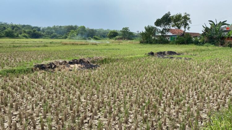 Musim Kemarau Tiba, 800 Warga Sukagalih Jonggol Alami Krisis Air