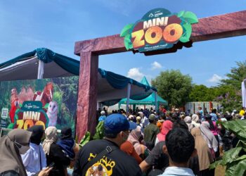 Mini Zoo Taman Safari Ramaikan Hari Peternakan dan Kesehatan Hewan Nasional ke-189 di Bogor