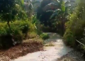 Diduga Tercemar Limbah Pabrik, Sungai di Desa Nambo Klapanunggal Berbau dan Ikan Mati