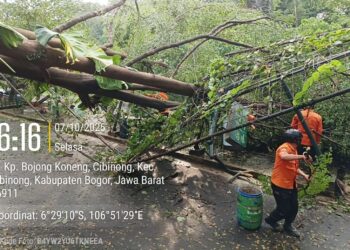 Angin Kencang Terjang SMAN 4 Cibinong, Pohon Tumbang Timpa Area Parkir