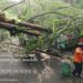 Angin Kencang Terjang SMAN 4 Cibinong, Pohon Tumbang Timpa Area Parkir