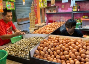 Harga Telur Ayam di Pasar Cibinong Tembus Rp30 Ribu per Kilogram, Pedagang: Lagi Naik-Naiknya