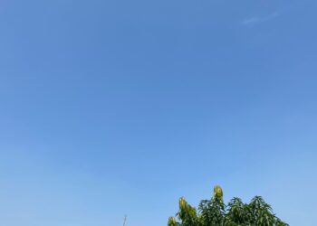 Prediksi Cuaca Kabupaten Bogor Hari Ini, Waspada Hujan Petir pada Sore Hari