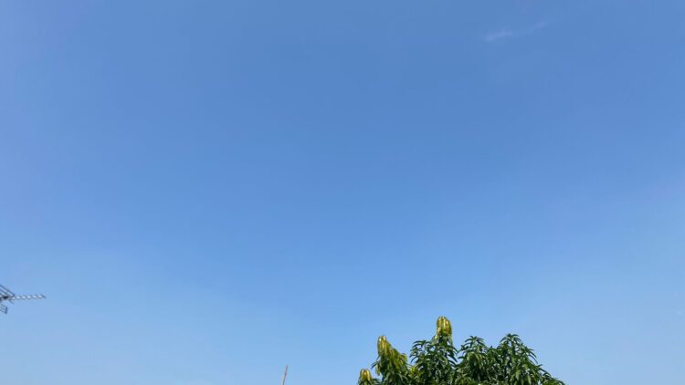 Prediksi Cuaca Kabupaten Bogor Hari Ini, Waspada Hujan Petir pada Sore Hari