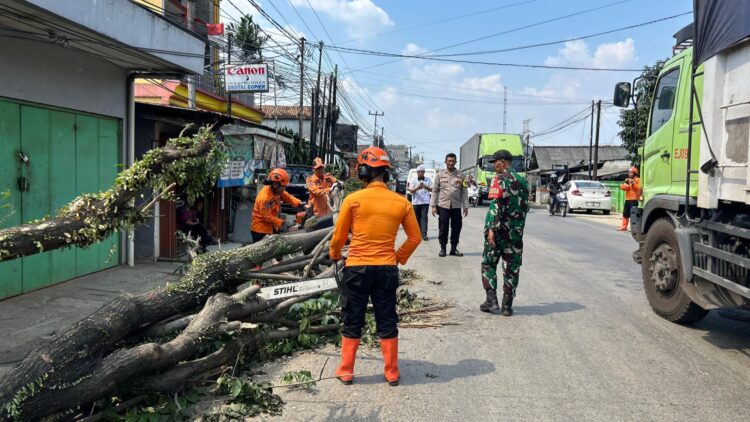 Akibat Tertabrak Truk, Pohon di Depan Kantor Desa Tlajung Udik Tumbang