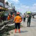 Akibat Tertabrak Truk, Pohon di Depan Kantor Desa Tlajung Udik Tumbang
