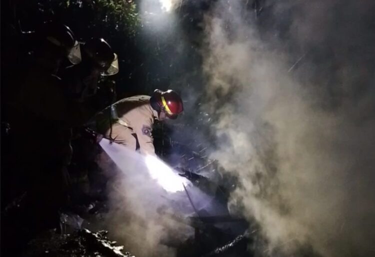 Kandang Kambing Terbakar, 19 Ekor Kambing Terpanggang