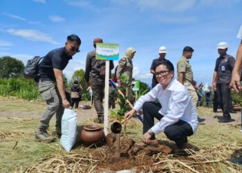 BNPB dan Menko PMK Gaet EIGER Adventure Land: Puncak Bogor Jadi Pusat Penanaman 216 Ribu Bibit Mitigasi Bencana