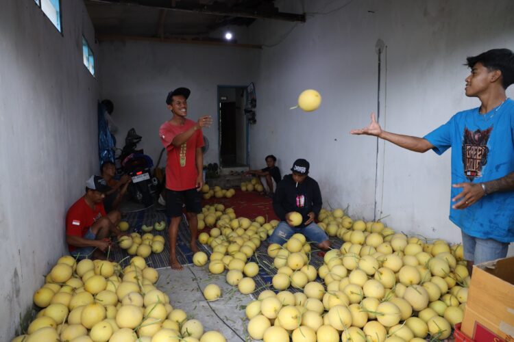 Desa Soso lahirkan petani muda berkat reforma agraria