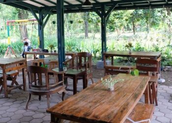 Rumah Matoa Coffee and Kitchen Dramaga Kabupaten Bogor