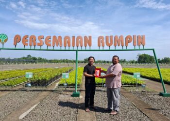 Vinus Gandeng Mahasiswa dan Perhutani, Siap Tanam 7 Ribu Pohon untuk Mitigasi Bencana