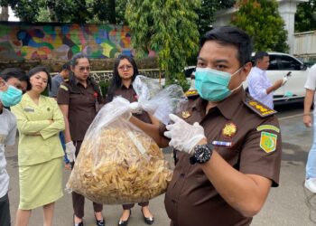 Barang bukti keripik pisang mengandung narkotika saat hendak dimusnahkan oleh Kejari Kabupaten Bogor.