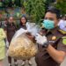 Barang bukti keripik pisang mengandung narkotika saat hendak dimusnahkan oleh Kejari Kabupaten Bogor.