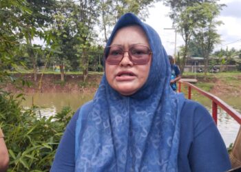 Diduga Tercemar Limbah Industri, DLH Kabupaten Bogor Bakal Verifikasi Perusahaan Sekitar Situ Citongtut