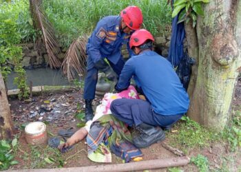 Petugas Damkar Kabupaten Bogor saat mengevakuasi korban tewas tersengat listrik di atas pohon di Bojonggede