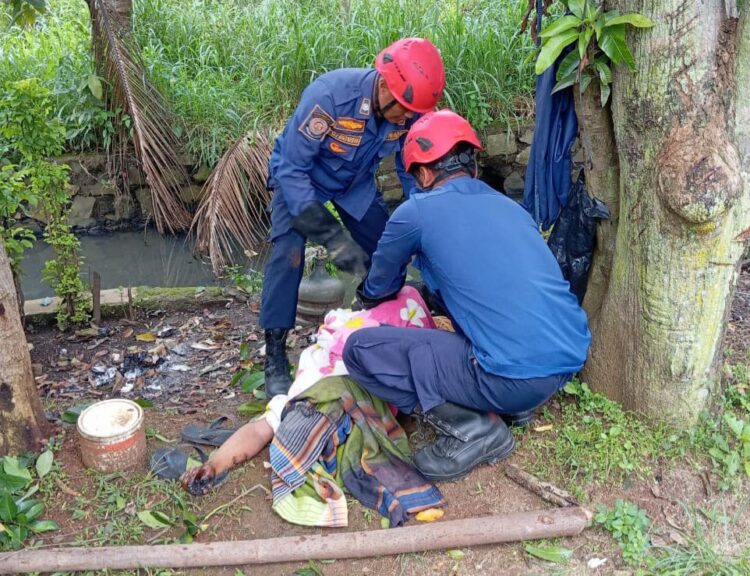 Petugas Damkar Kabupaten Bogor saat mengevakuasi korban tewas tersengat listrik di atas pohon di Bojonggede