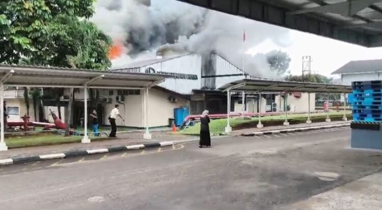 Kebakaran Hebat Landa Pabrik Obat di Gunung Putri, Asap Tebal Hambat Pemadaman