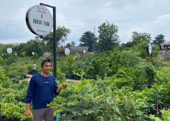 Pasar Petani Garuda Jadi Etalase Tanaman Buah dan Hias di Cibinong