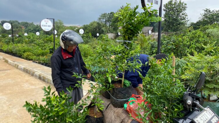 Pembeli Nilai Pasar Petani Garuda Permudah Akses Tanaman Berkualitas dengan Harga Terjangkau
