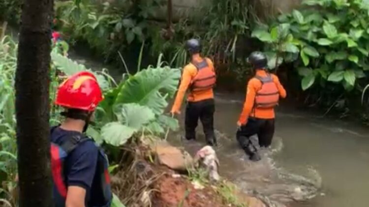 Dua Bocah Hanyut di Sungai Pabuaran Mekar Cibinong, Satu Selamat Satu Masih Dalam Pencarian