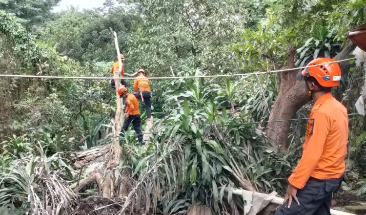 Kondisi rumah warga di Desa Citeureup yang hancur tertimpa pohon besar akibat tanah longsor.