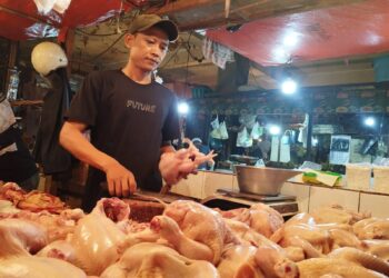 Jelang Ramadhan, Harga Bahan Pokok di Pasar Cibinong Naik