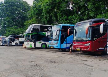 Mudik Gratis Sebabkan Penjualan Tiket Bus Turun 50%???