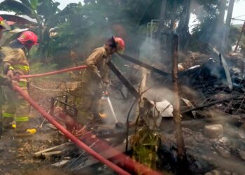 ‎Lapak Tanaman Hias Ludes Terbakar, Api Diduga Berasal dari Tumpukan Pupuk ‎