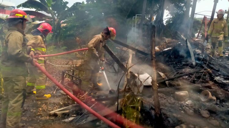 ‎Lapak Tanaman Hias Ludes Terbakar, Api Diduga Berasal dari Tumpukan Pupuk ‎