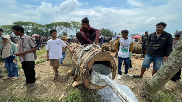 Camat Cariu Dorong Adu Kuluwung Jadi Agenda Tahunan Pemkab Bogor