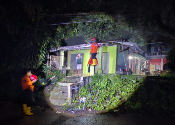 Destana Wanaherang Sigap Evakuasi Sarang Tawon Vespa di Dekat Sekolah