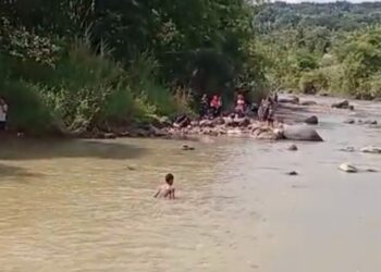 Remaja 16 Tahun Hanyut di Sungai Cileungsi, Damkar Lakukan Pencarian