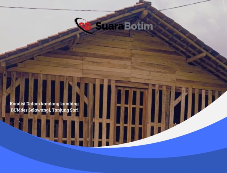 Skandal BUMDes Selawangi Memanas: Atap Kandang Disunat ???