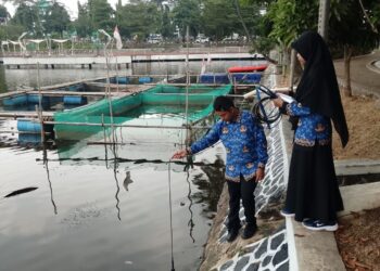 ‎Puluhan Ikan Mati di Cibinong Situ Plaza, Diskanak Cek Kualitas Air