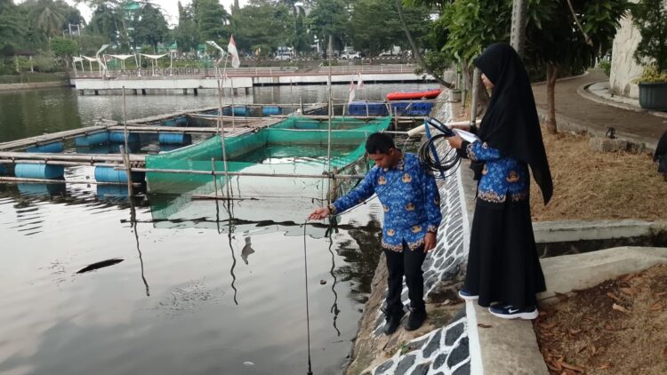 ‎Puluhan Ikan Mati di Cibinong Situ Plaza, Diskanak Cek Kualitas Air