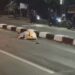 Lakalantas di Parung, Dua Orang Pemotor Meninggal Dunia