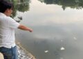 Diskanak Ungkap Dugaan Penyebab Puluhan Ikan Mati di Cibinong Situ Plaza