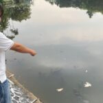 Diskanak Ungkap Dugaan Penyebab Puluhan Ikan Mati di Cibinong Situ Plaza
