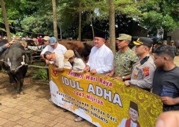 Pemkab Bogor Salurkan 108 Hewan Kurban dari Prabowo untuk Warga Babakan Madang