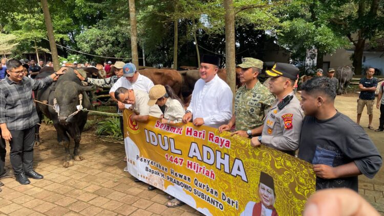 Pemkab Bogor Salurkan 108 Hewan Kurban dari Prabowo untuk Warga Babakan Madang