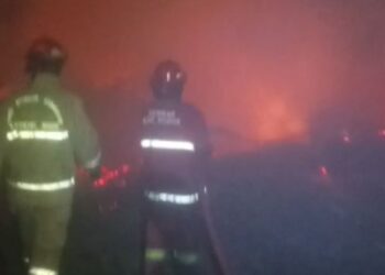 Korsleting Listrik, Peternakan Ayam di Cariu Ludes Terbakar