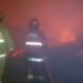 Korsleting Listrik, Peternakan Ayam di Cariu Ludes Terbakar