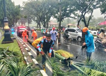‎Pemotor Tewas Usai Tertimpa Pohon Tumbang di Jalan Tegar Beriman