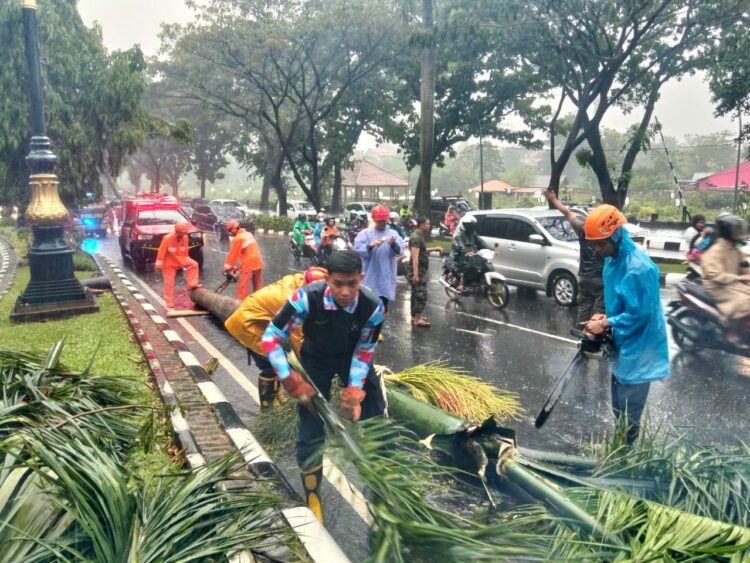 ‎Pemotor Tewas Usai Tertimpa Pohon Tumbang di Jalan Tegar Beriman