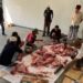 ‎PWI Kabupaten Bogor Tebar Kepedulian di Iduladha 1447 H, Sembelih 1 Sapi dan 9 Kambing