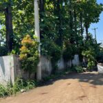 Tokoh Masyarakat Gunung Putri Kembali Tanami Pohon di Jalur Hijau yang Dikomersilkan Perusahaan