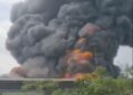 Ratusan Ribu Ayam Mati Terpanggang di Peternakan Ciseeng