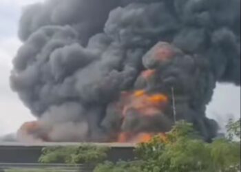 Ratusan Ribu Ayam Mati Terpanggang di Peternakan Ciseeng
