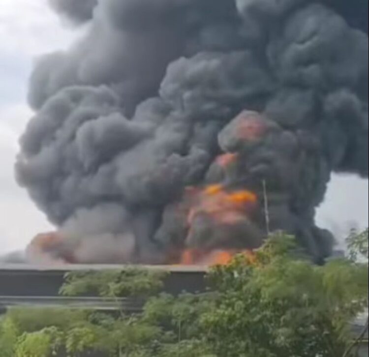 Ratusan Ribu Ayam Mati Terpanggang di Peternakan Ciseeng